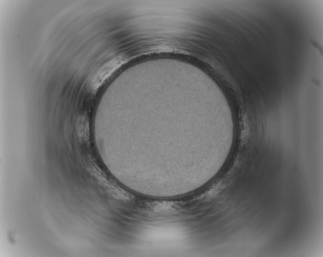 X0000103950969200810171834