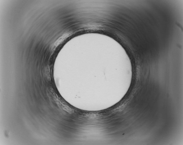 X0000103950970200810171834