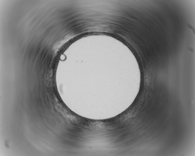 X0000103950971200810171834