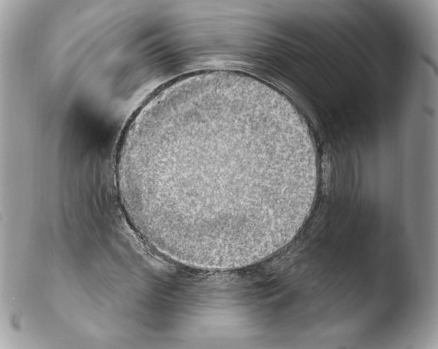 X0000103950972200810171834