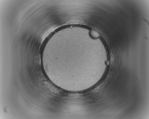 X0000103950973200810171834