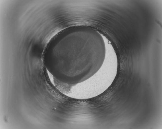 X0000103950975200810171834