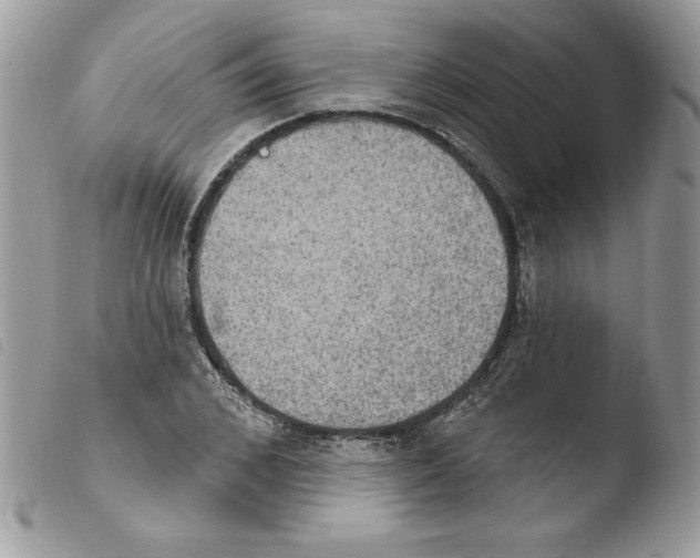 X0000103950976200810171834