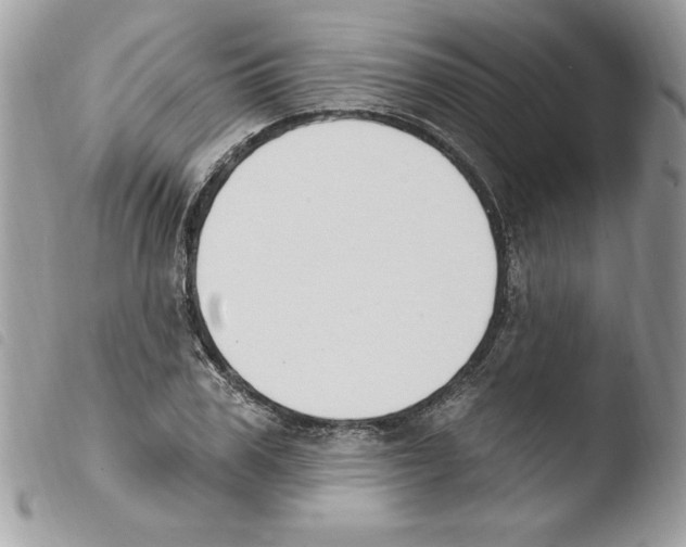 X0000103950979200810171834