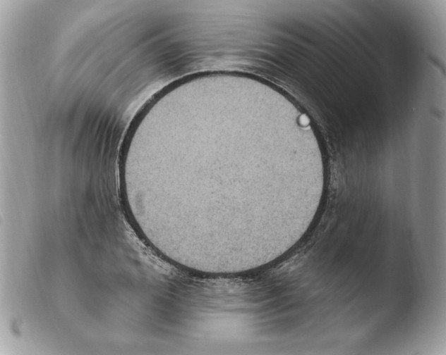 X0000103950980200810171834