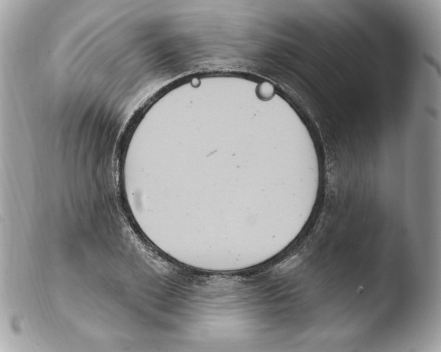 X0000103950981200810171834