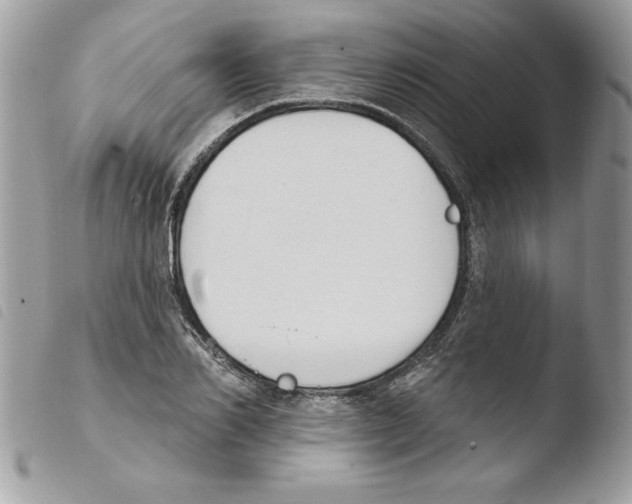 X0000103950982200810171834