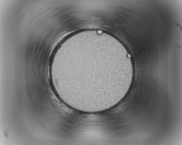 X0000103950984200810171834