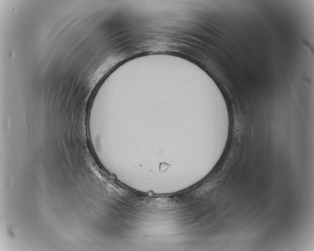 X0000103950986200810171834