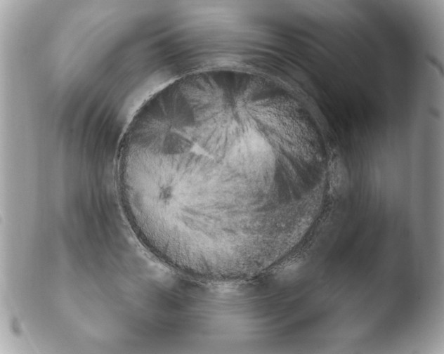 X0000103950987200810171834