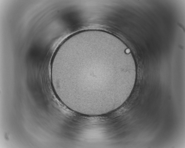X0000103950988200810171834