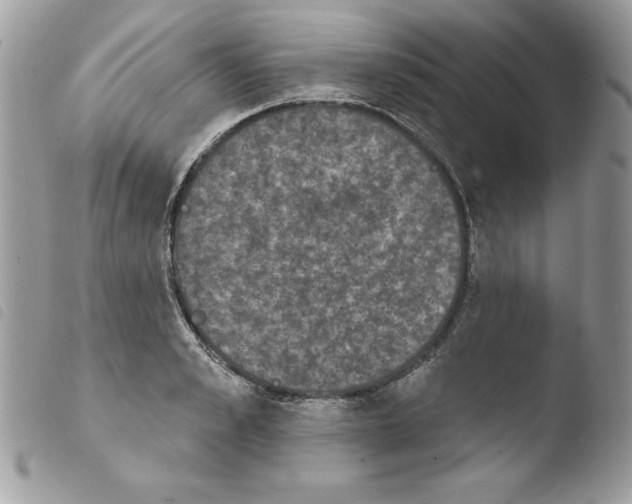 X0000103950989200810171834