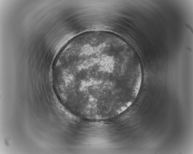 X0000103950990200810171834