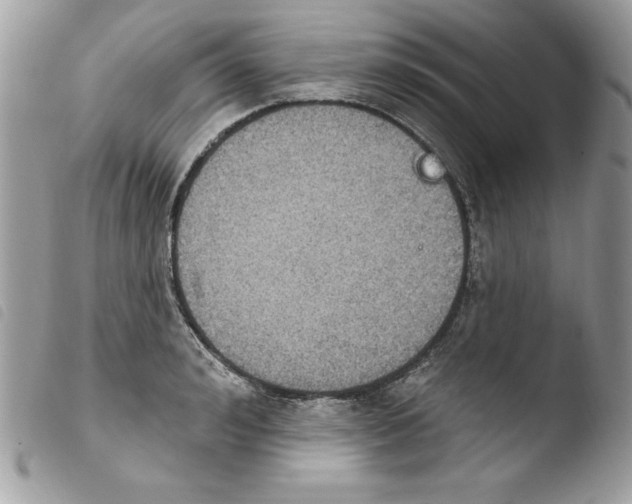 X0000103950992200810171834