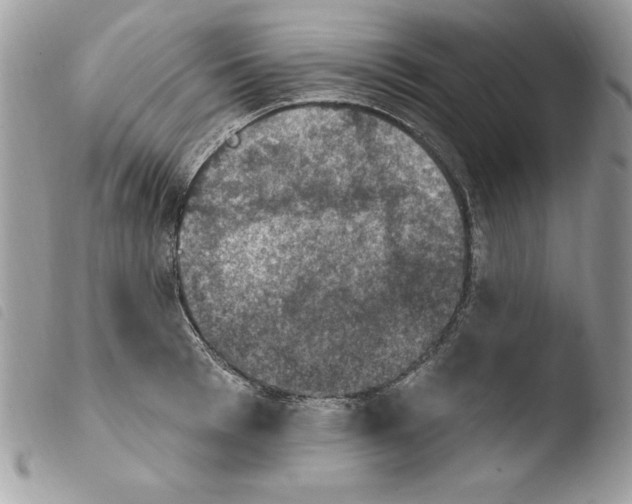 X0000103950993200810171834