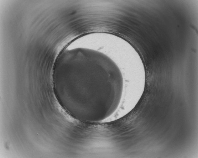 X0000103950995200810171834