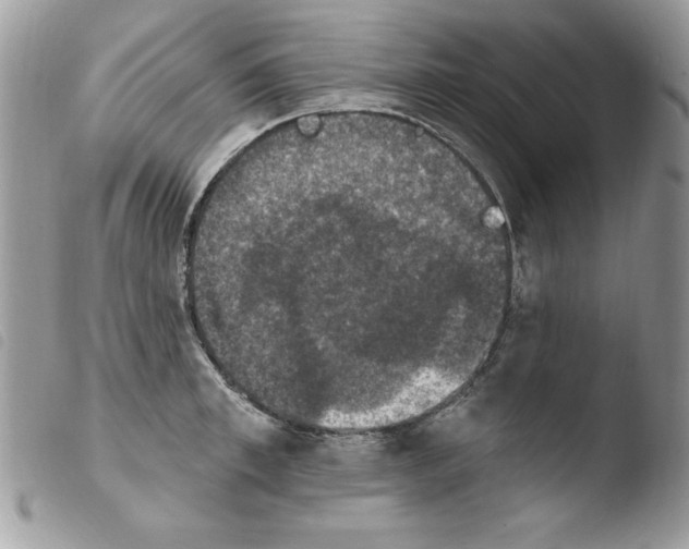 X0000103950997200810171834