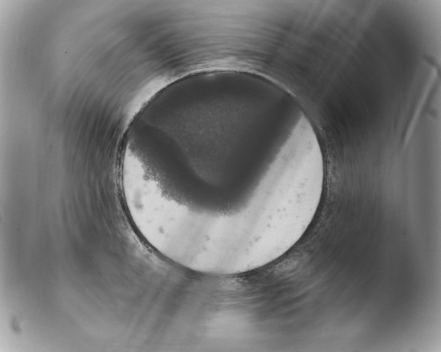 X0000103950998200810171834