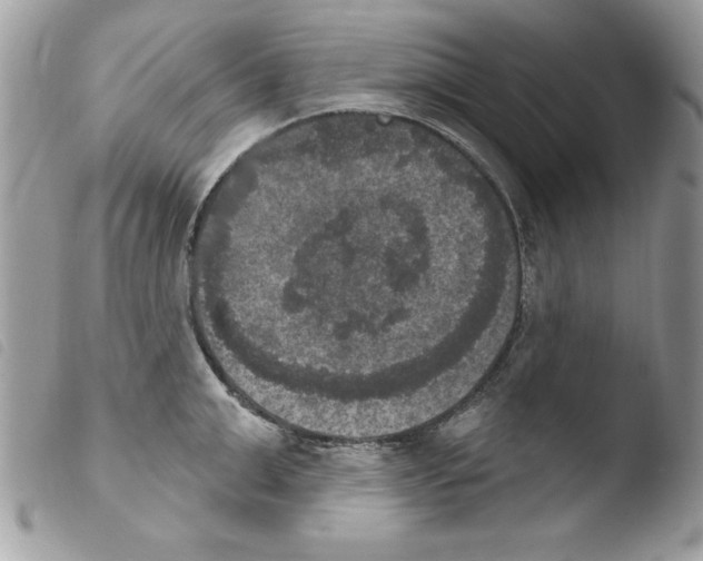 X0000103950999200810171834