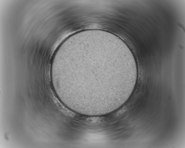 X0000103951000200810171834