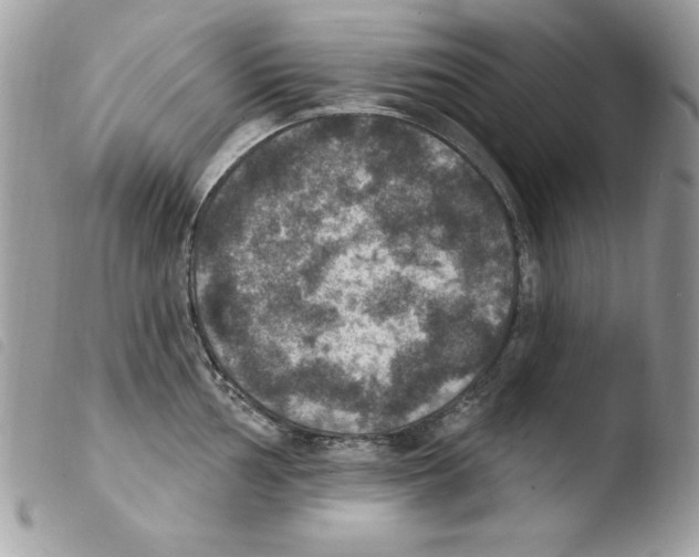 X0000103951002200810171834
