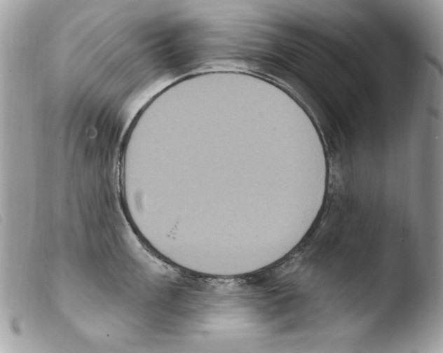 X0000103951003200810171834