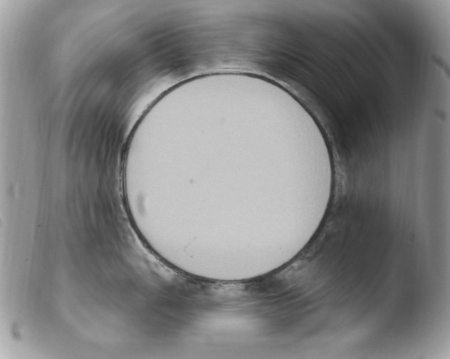 X0000103951006200810171834
