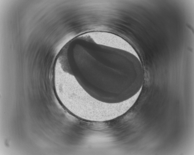 X0000103951007200810171834