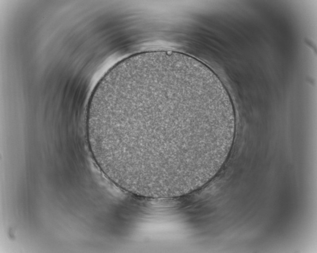 X0000103951008200810171834