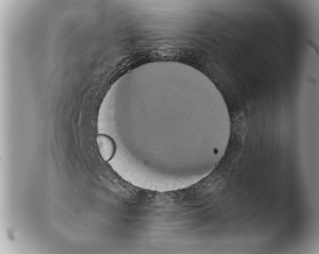 X0000103951009200810171833