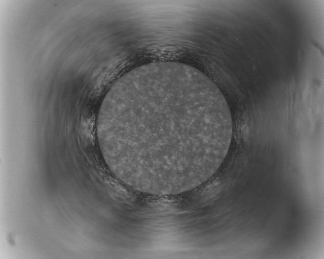 X0000103951010200810171833