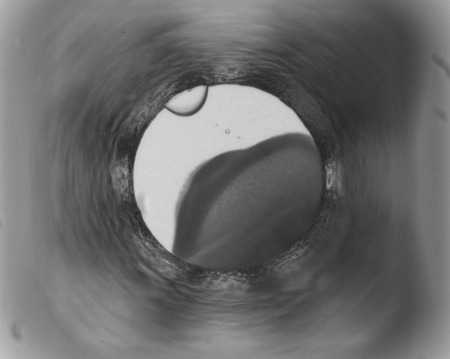 X0000103951011200810171833