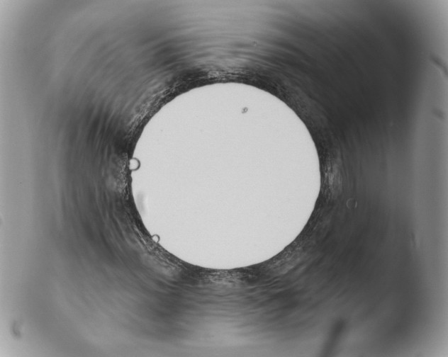 X0000103951012200810171833
