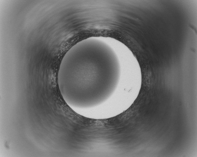 X0000103951013200810171833