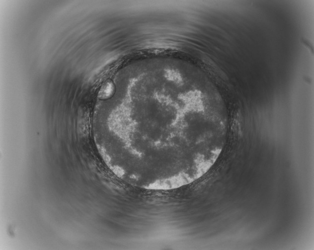 X0000103951014200810171833