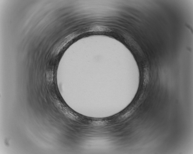 X0000103951017200810171833
