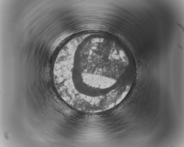 X0000103951019200810171833