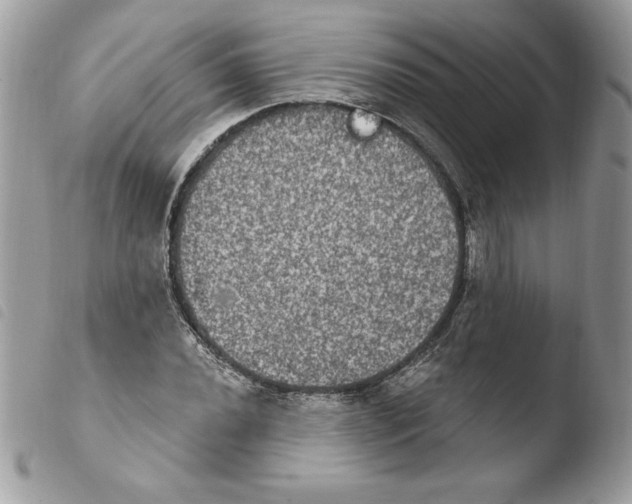 X0000103951020200810171833