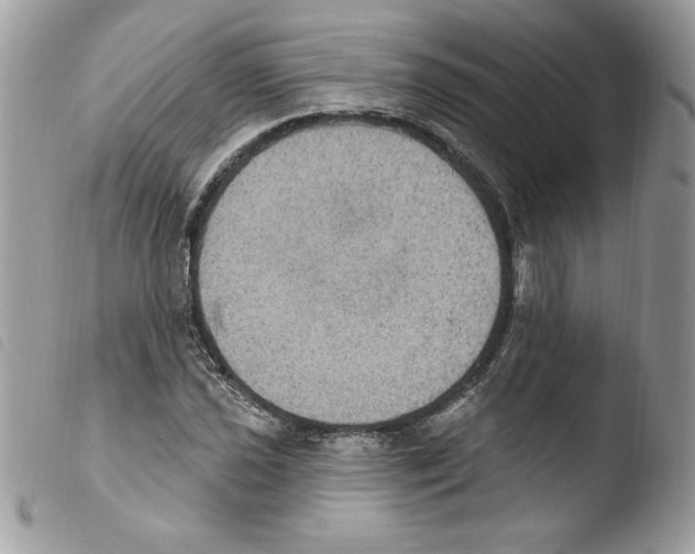 X0000103951021200810171833