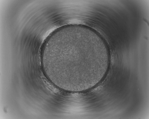 X0000103951022200810171833