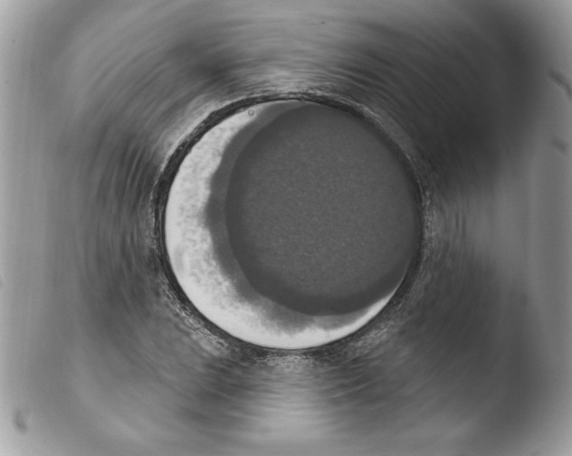 X0000103951023200810171833