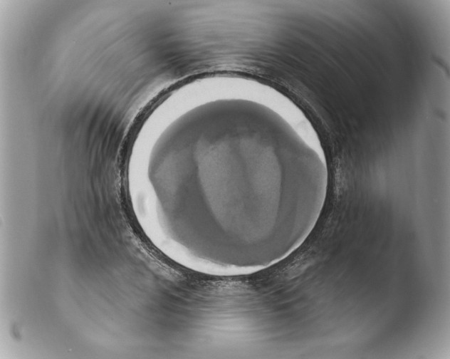 X0000103951024200810171833