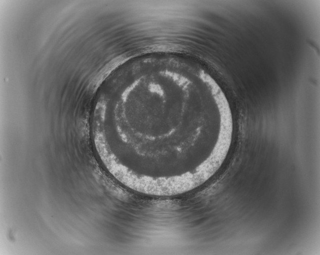 X0000103951025200810171833