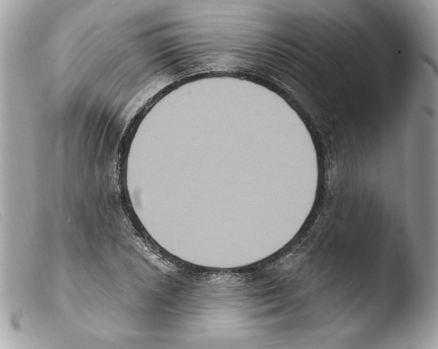 X0000103951026200810171833