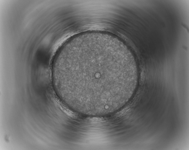 X0000103951027200810171833