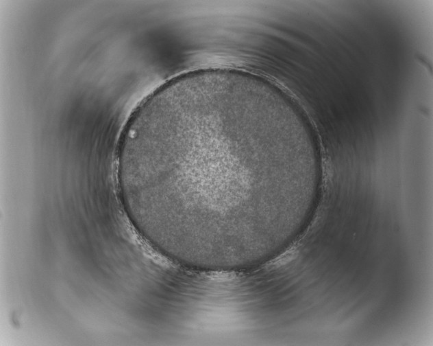 X0000103951029200810171833