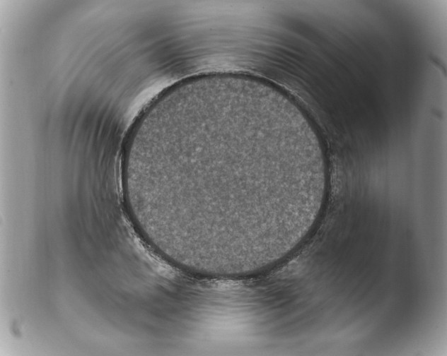 X0000103951030200810171833