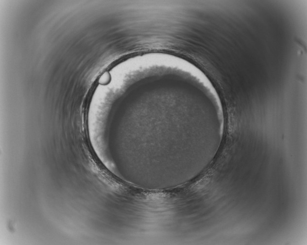 X0000103951031200810171833