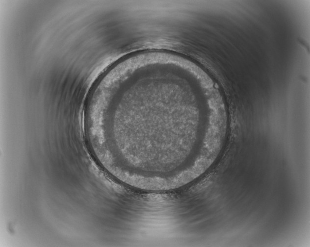 X0000103951032200810171833