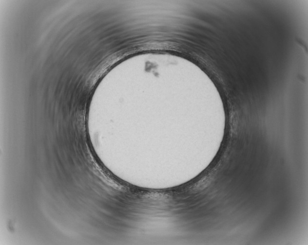 X0000103951033200810171833